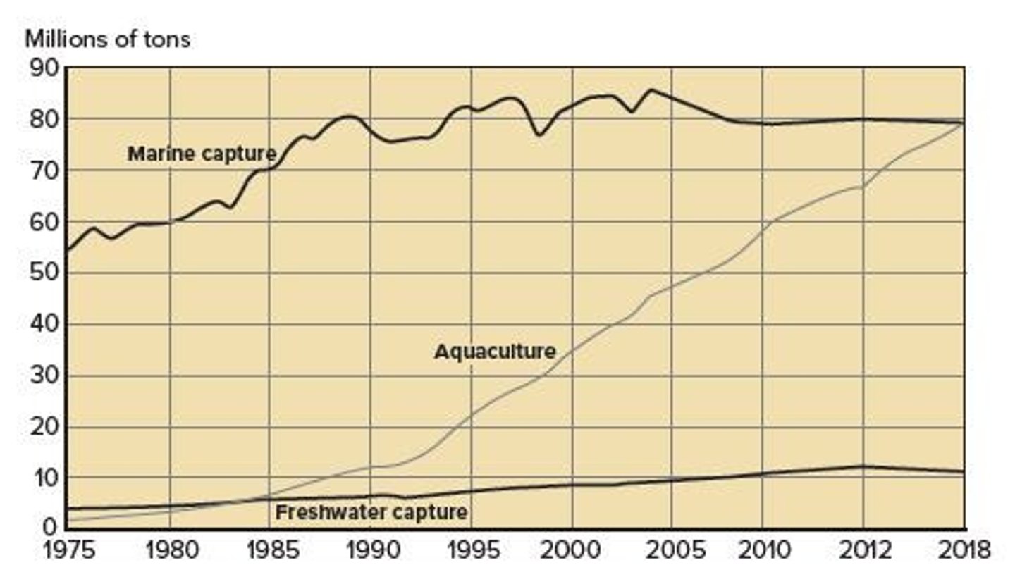 <p>It shows growth in marine capture, agriculture, and freshwater harvest over the years.</p>