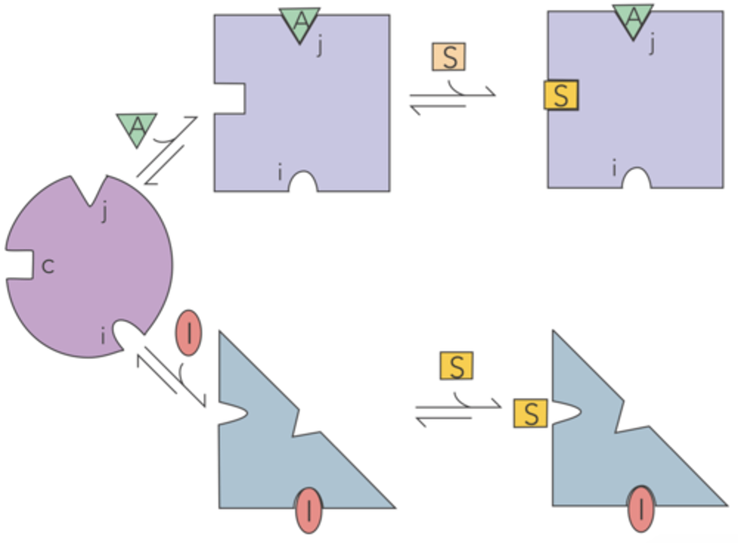 <p>allosteric</p>