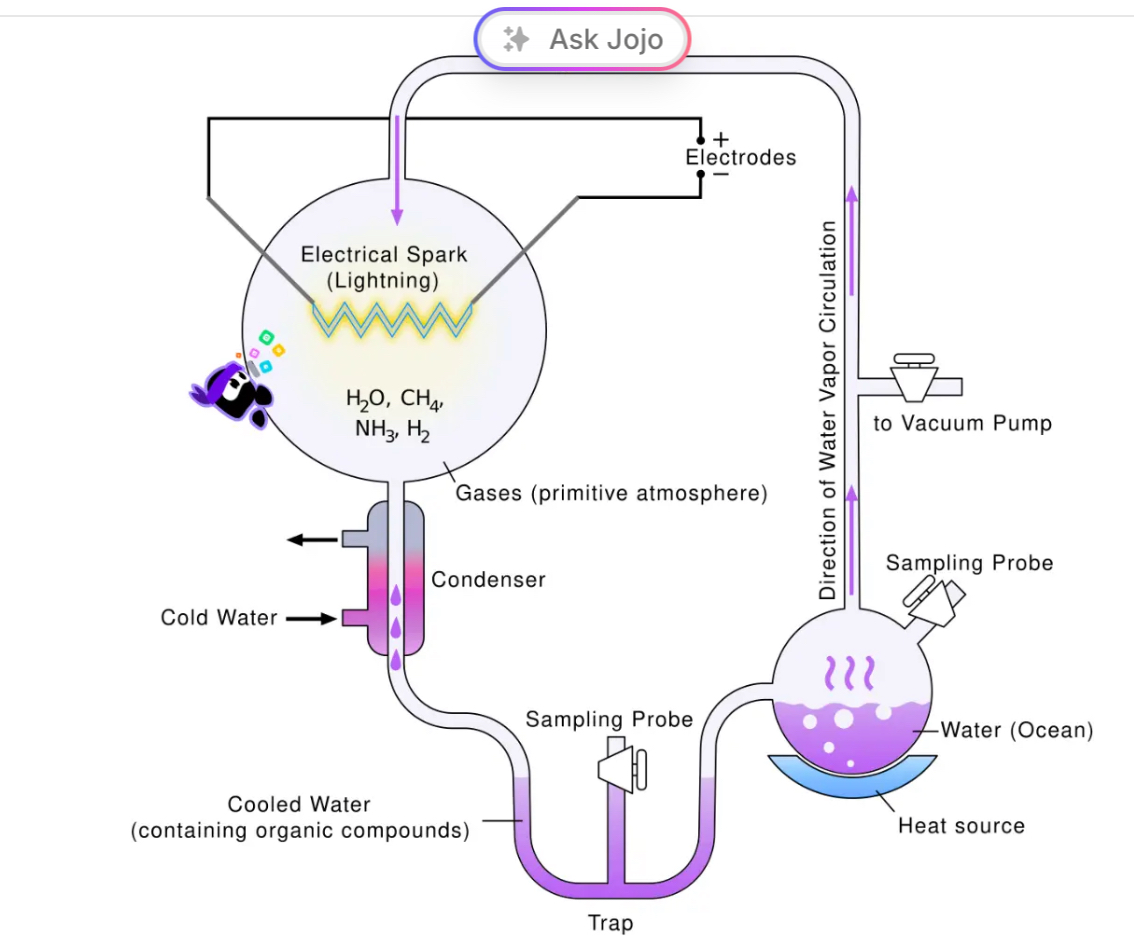 <ol><li><p>Miller and Urey proposed that Earth’s early atmosphere was <strong>reducing</strong>, containing gases such as <strong>methane (CH₄)</strong>, <strong>ammonia (NH₃)</strong>, <strong>hydrogen (H₂)</strong>, and <strong>water vapor (H₂O)</strong>.</p></li><li><p><span style="color: lab(27.1134 -0.956401 -12.3224);">They reasoned that these gases could react to form </span><strong>organic compounds</strong><span style="color: lab(27.1134 -0.956401 -12.3224);"> when energy was supplied</span></p></li></ol><p></p>