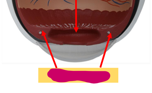 <p>What are these called?</p>