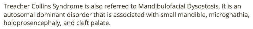 <p>c) treacher collins syndrome </p>