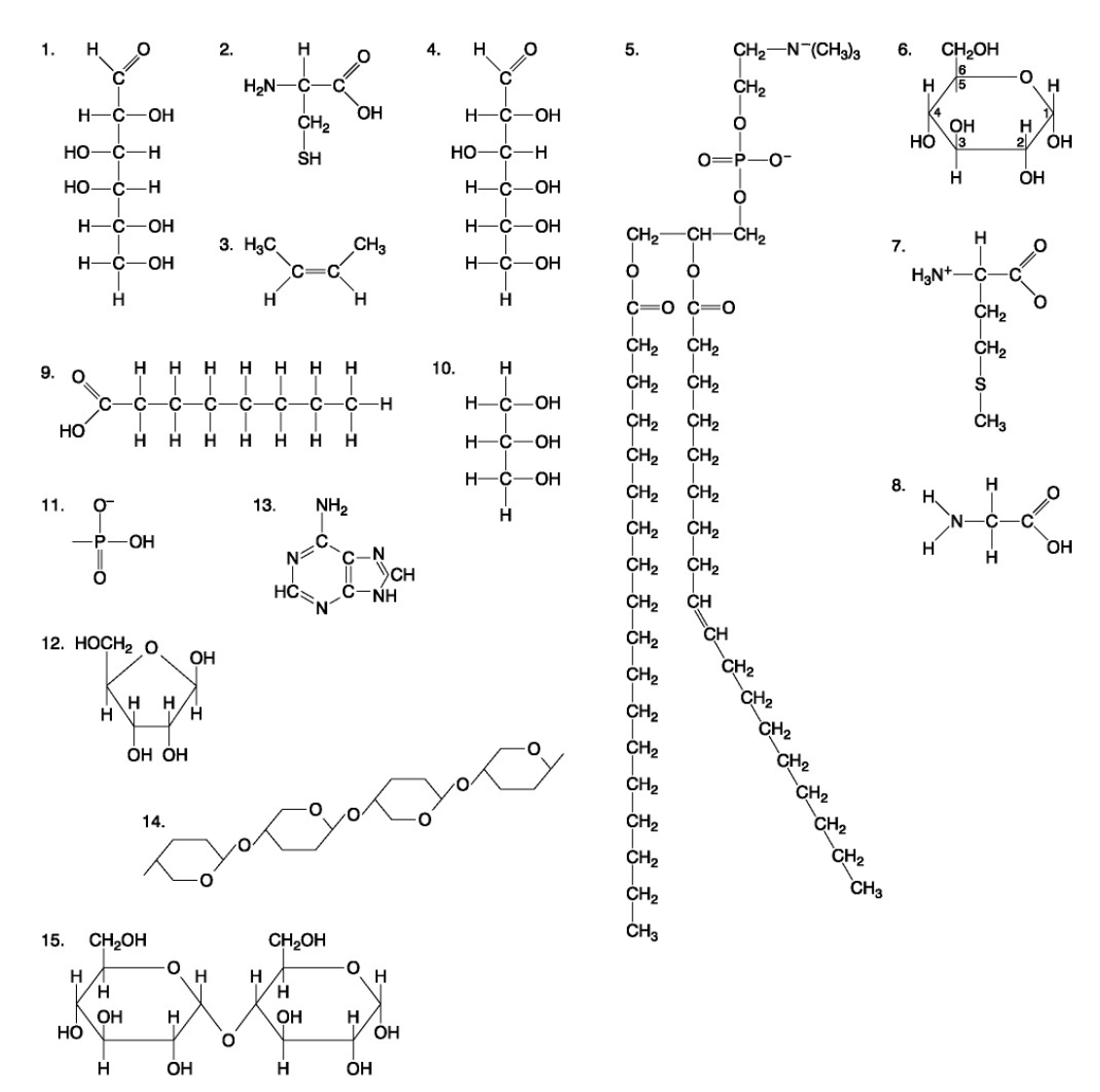 <p>72. Which of the following combinations could be linked together to form a nucleotide?</p><table style="min-width: 175px"><colgroup><col><col><col><col><col><col><col></colgroup><tbody><tr><td colspan="1" rowspan="1"><p class="p2">a.</p></td><td colspan="1" rowspan="1"><p class="p3">1, 2, and 11</p></td><td colspan="1" rowspan="1"><p class="p2">c.</p></td><td colspan="1" rowspan="1"><p class="p3">5, 9, and 10</p></td><td colspan="1" rowspan="1"><p class="p2">e.</p></td><td colspan="1" rowspan="1"><p class="p3">12, 14, and 15</p></td><td colspan="1" rowspan="1"><p></p></td></tr><tr><td colspan="1" rowspan="1"><p class="p2">b.</p></td><td colspan="1" rowspan="1"><p class="p3">3, 7, and 8</p></td><td colspan="1" rowspan="1"><p class="p2">d.</p></td><td colspan="1" rowspan="1"><p class="p3">11, 12, and 13</p></td><td colspan="1" rowspan="1"><p class="p4"></p></td><td colspan="1" rowspan="1"><p class="p4"></p></td><td colspan="1" rowspan="1"><p></p></td></tr></tbody></table><p></p>