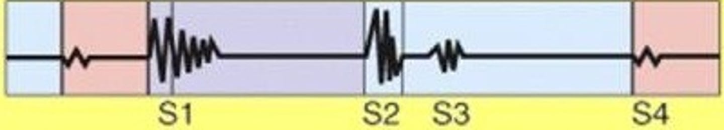 <p>closure of the tricuspid and mitral valves at the beginning of systole</p>