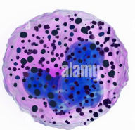 <p>What is this?</p>