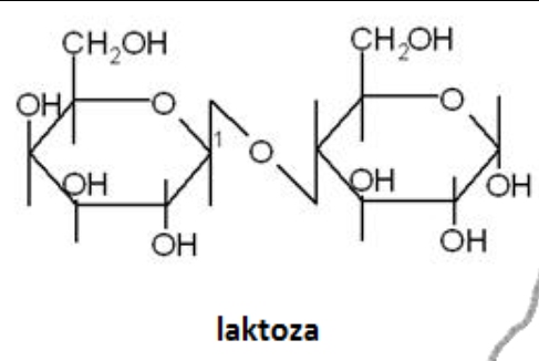 <p>Wiązanie Beta 1 4 glikozydowe</p>