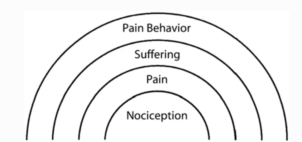 pain behavior reflects the influence of three important factors:


1. suffering
2. pain
3. nociception