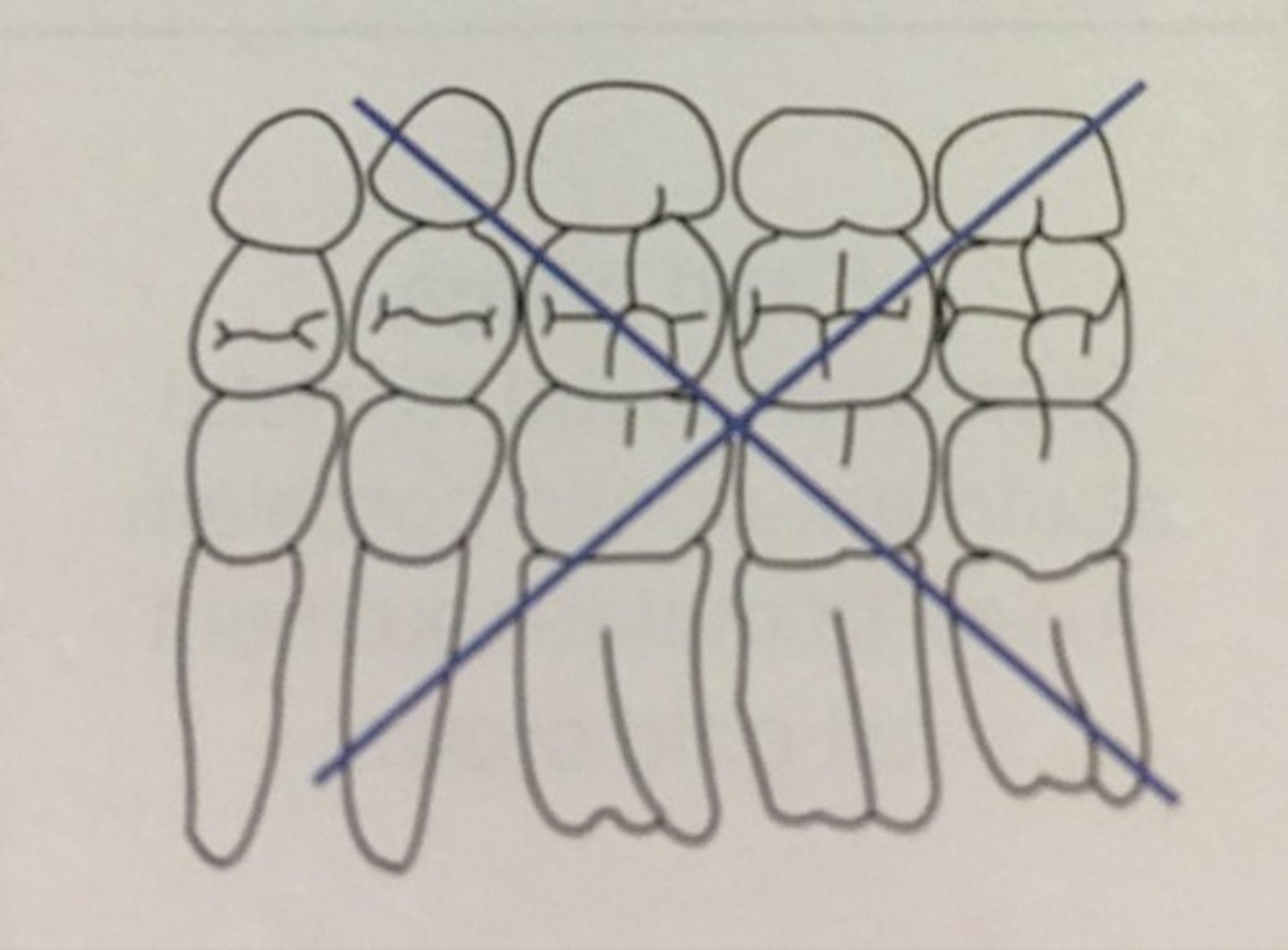 knowt flashcard image