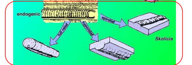 <p>made within; organism burrowing into the sediment</p>