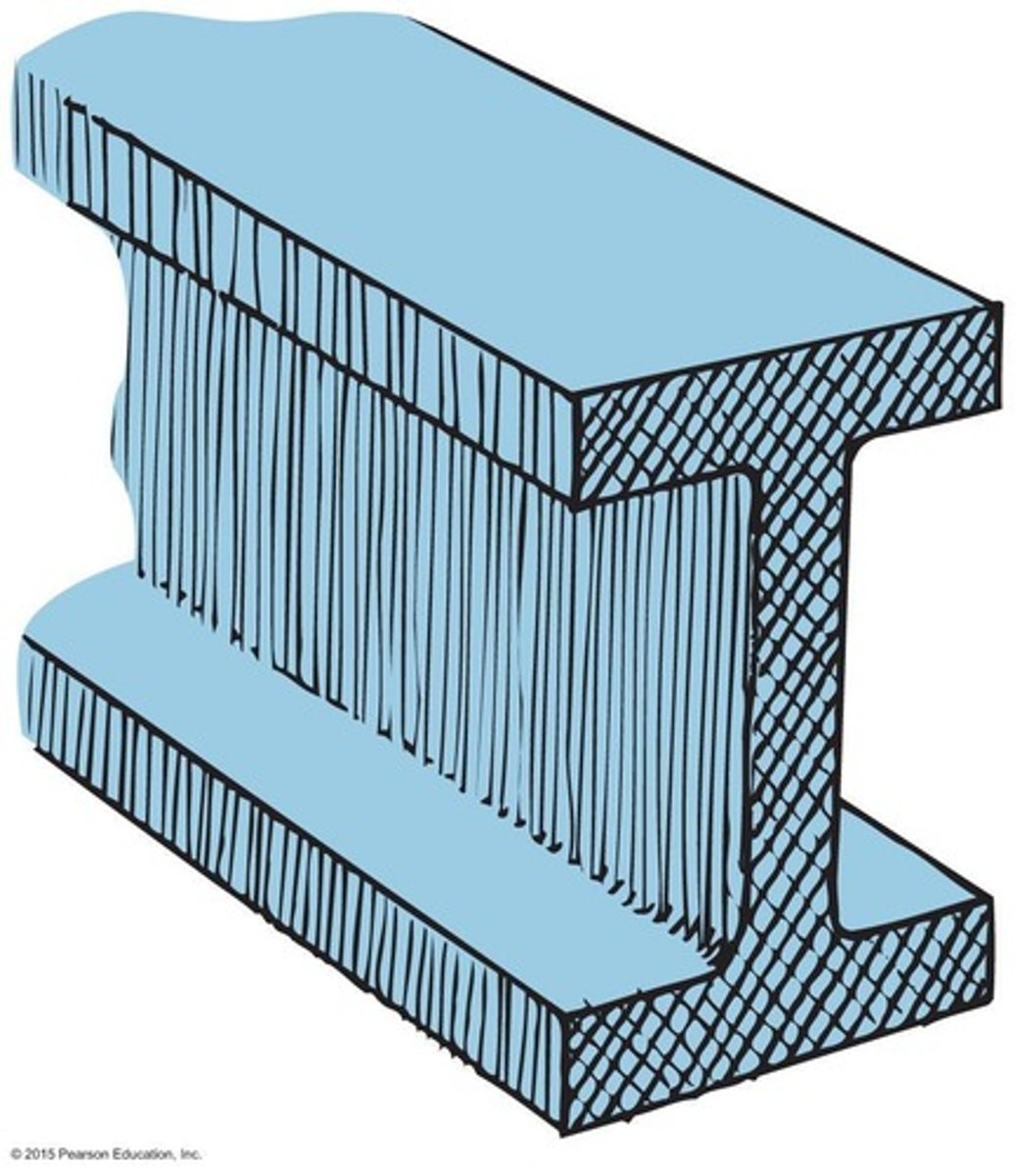 <p>I-beam shape</p>