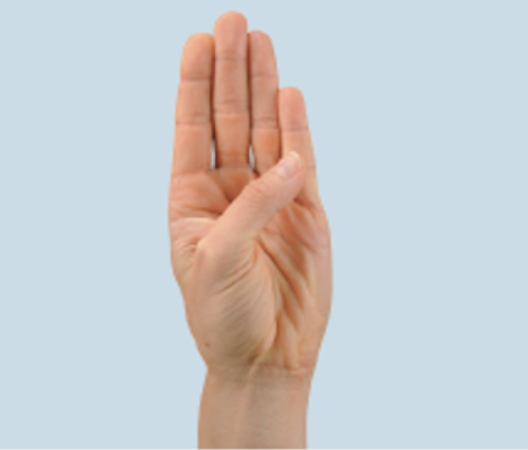 <p>thumb moves toward index finger</p>