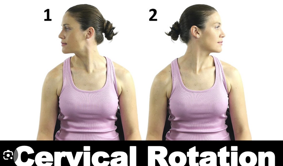 <p>Cervical Rotation</p>