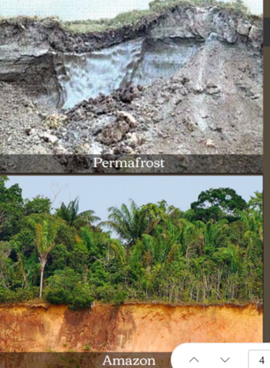 <p>a property soil is determined by, too cold = much undecomposed organic material, humid tropics = rapid weathering leaching of nutrients, decomposition of organic detritus</p>