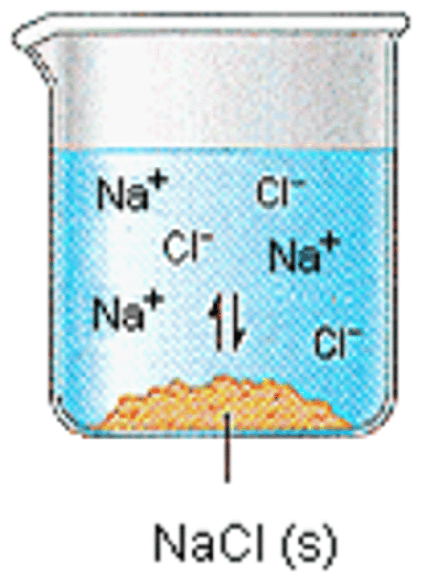 <p>Anions and cations that water dissolves</p>
