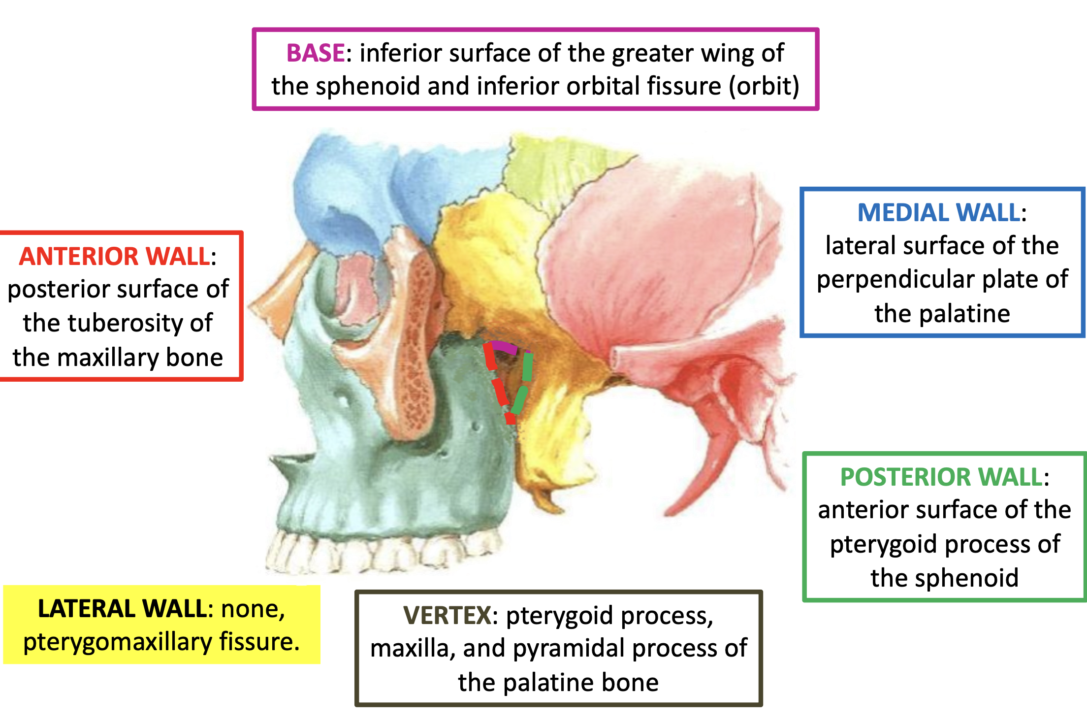 knowt flashcard image