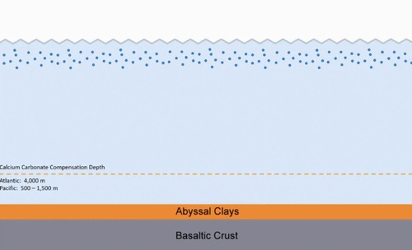 <p>Depth in the ocean below which anything made of calcium carbonate dissolves very rapidly.</p>