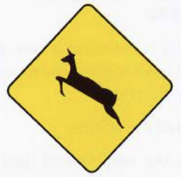 <p>Wild Animal Crossing</p>