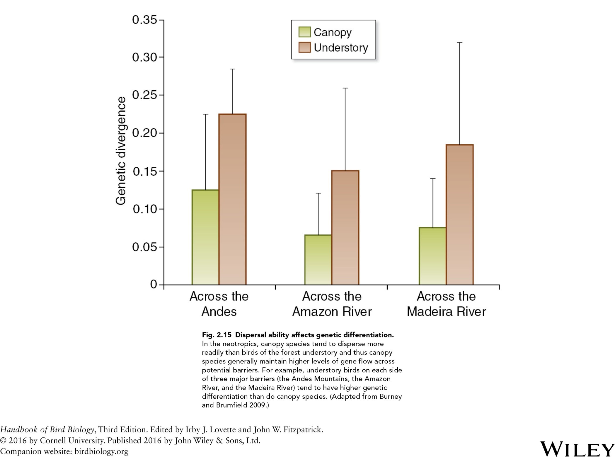 <p>in the neotropics, canopy species tend to disperse more readily than birds of the forest understory and thus canopy species generally maintain higher levels of gene flow across potential barriers. for example understory birds on each side of three major barriers tend to have higher genetic differentiation than do canopy species </p>