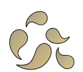 <p>what are these bacteria called?</p>