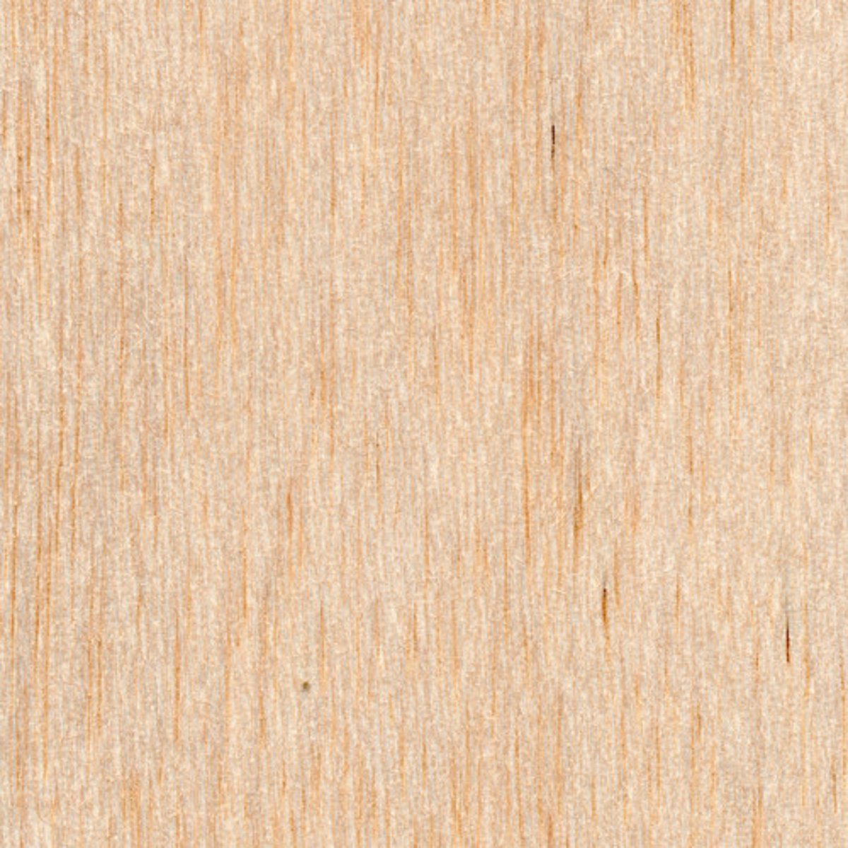 <p>Pale and wide-spaced grain due to it being a fast-growing hardwood</p>