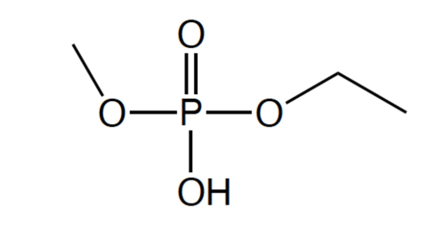 <p>A phosphate ester</p>