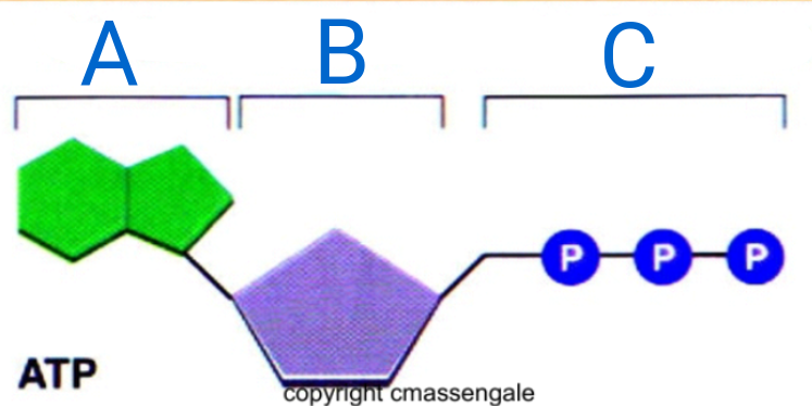 <p>what is C?</p>