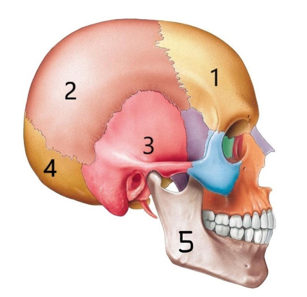 <p>Section 5</p>