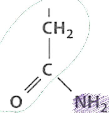 <p>What is this functional group and describe it?</p>
