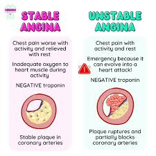 <p><strong>Unstable angina or non-ST-elevation myocardial infarction (NSTEMI)</strong></p><p><strong><u>Stable angina is predictable chest pain that occurs with exertion and resolves with rest or medication.</u></strong> <strong>Unstable angina is unpredictable chest pain that can occur at rest </strong>or with minimal exertion and may signal an impending heart attack.</p>