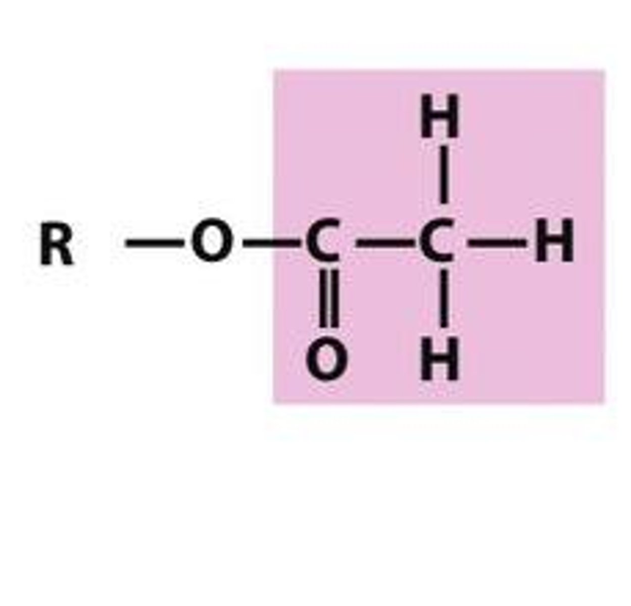 <p>Addition of an acetyl group to a molecule (COCH3)</p>