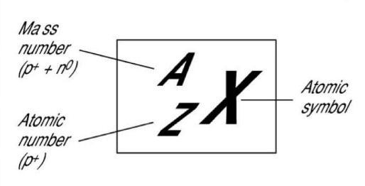 Protons+ neutrons