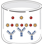 <p>What labeled immunoassay is the competition between labeled antigen and unlabeled patient antigen?</p>