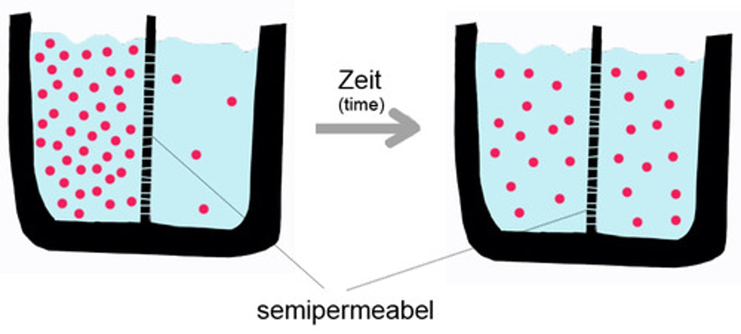 <p>Movement of molecules from an area of high concentration to low concentration</p><p>along the concentration gradient</p>