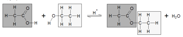 <p>when carboxylic acid reacted with alcohol with a small amount of H₂SO₄ as a catalyst, an ester formed. A substitution reaction because H on COOH is relaced by the a aklyl like methyl or ethyl</p>