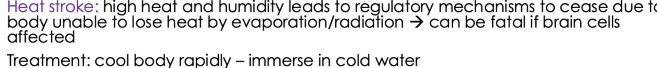 <p>Heat stroke: The failure of a person’s temperature-regulating mechanisms when exposed to excessive heat</p>