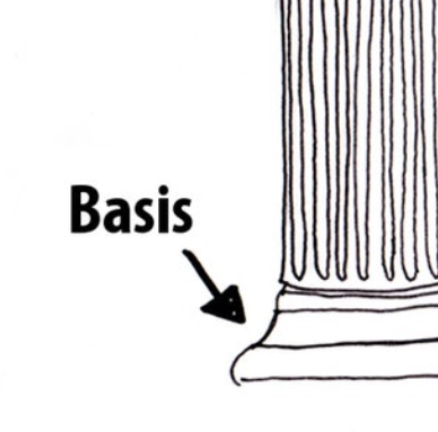 Basis