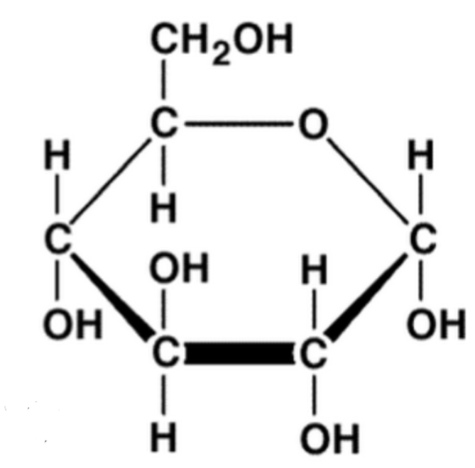 <p>glucose, fructose, galactose (simple sugars)</p><p>molecular formulas that are usually multiples of CH2O</p><p>– The location of the carbonyl group</p><p>– The number of carbons in the carbon skeleton</p>