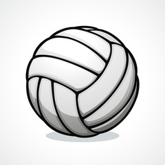 <p>Volleyball</p>