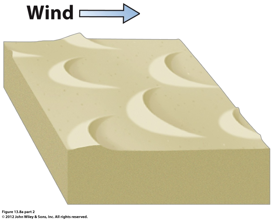 langgerekte halvemaanvormige duin met de punten naar benden windafwaarts