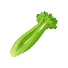 <p>Celery</p>