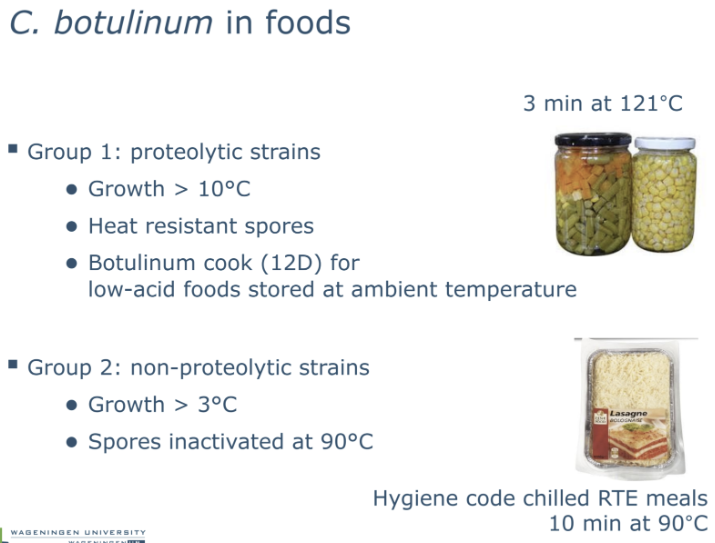 <p><span style="background-color: rgba(0, 0, 0, 0); line-height: 16px;">Its spores are highly resistant structures</span></p>