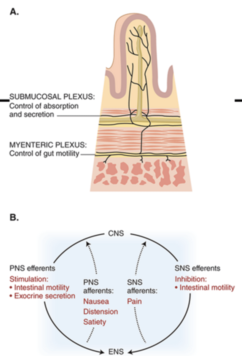 <p>in (B), note how pain slows things down!</p>