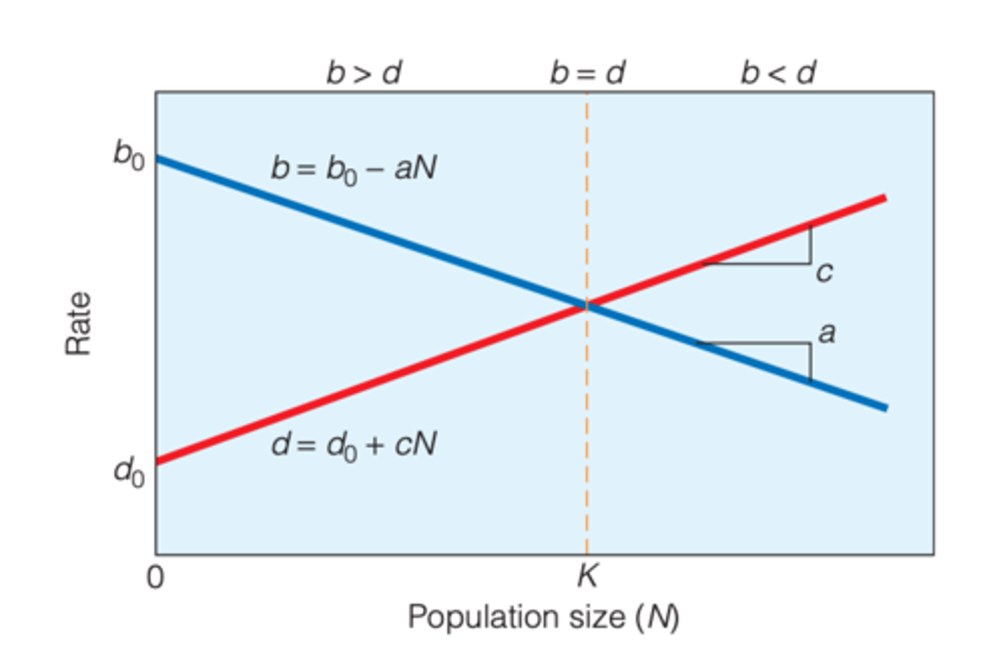 <p>the graph presents an example of a liner function of population size N</p>