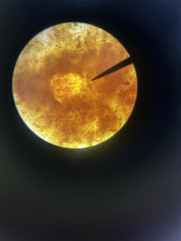 <p>Identify name and describe the osazone.</p>