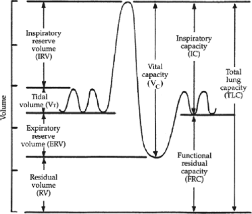 <p>What term is used to describe the max we can inhale and exhale?</p>