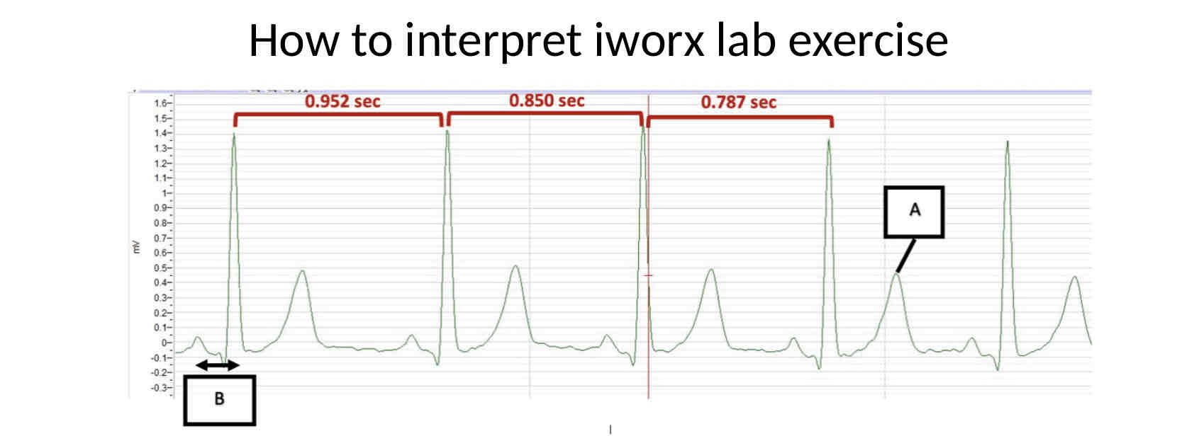 <p>What is the beats per minute given this example</p>