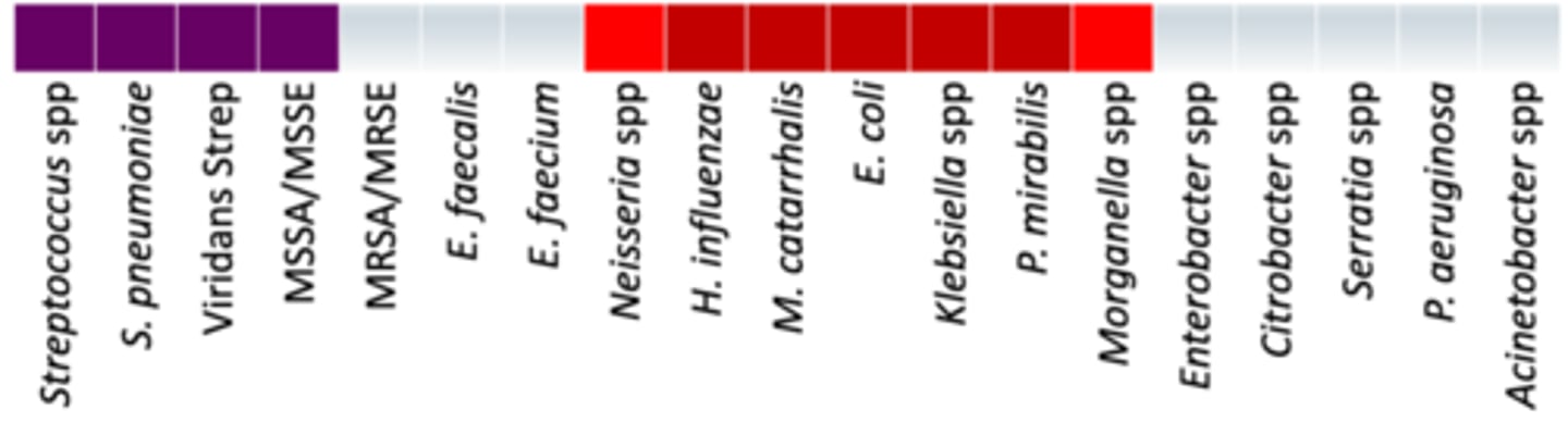 <p>• Anaerobes: +/+ (oral/gut anaerobes)</p><p>• Miscellaneous: </p><p>- Active against most anaerobes</p><p>- Some resistance observed in B. fragilis. </p><p>• Coverage - Covers same as 1st Gen + S. pneumoniae, H. influenzae, M catarrhalis and some coverage of Neisseria spp and Morganella spp; Mycobacterial</p><p>- For intrabdominal cephamycins (Cefoxitin and Cefotetan) it also has + works on gut anaerobes</p>