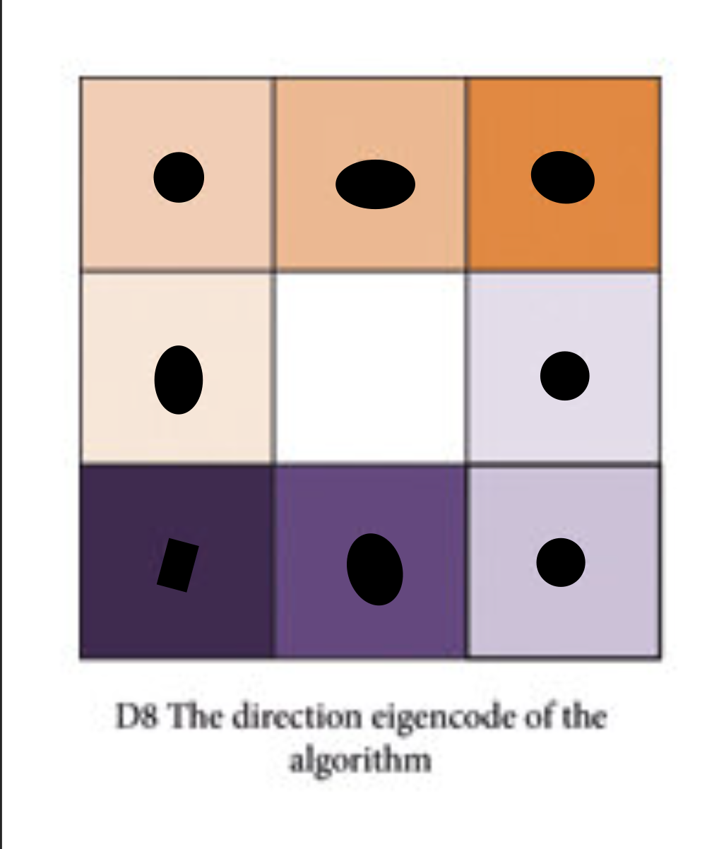 <p>D8 directional values</p>