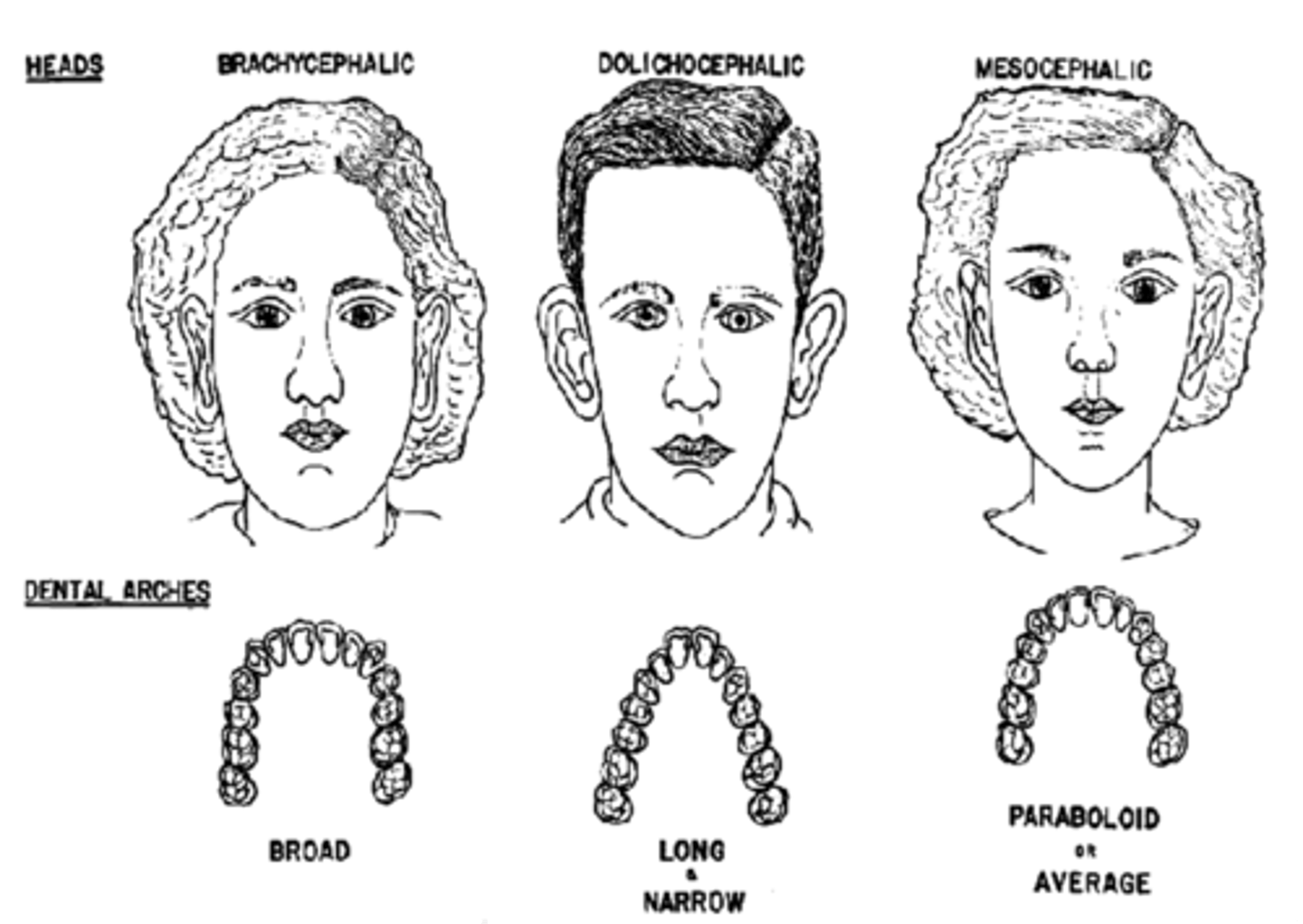<p>average</p>