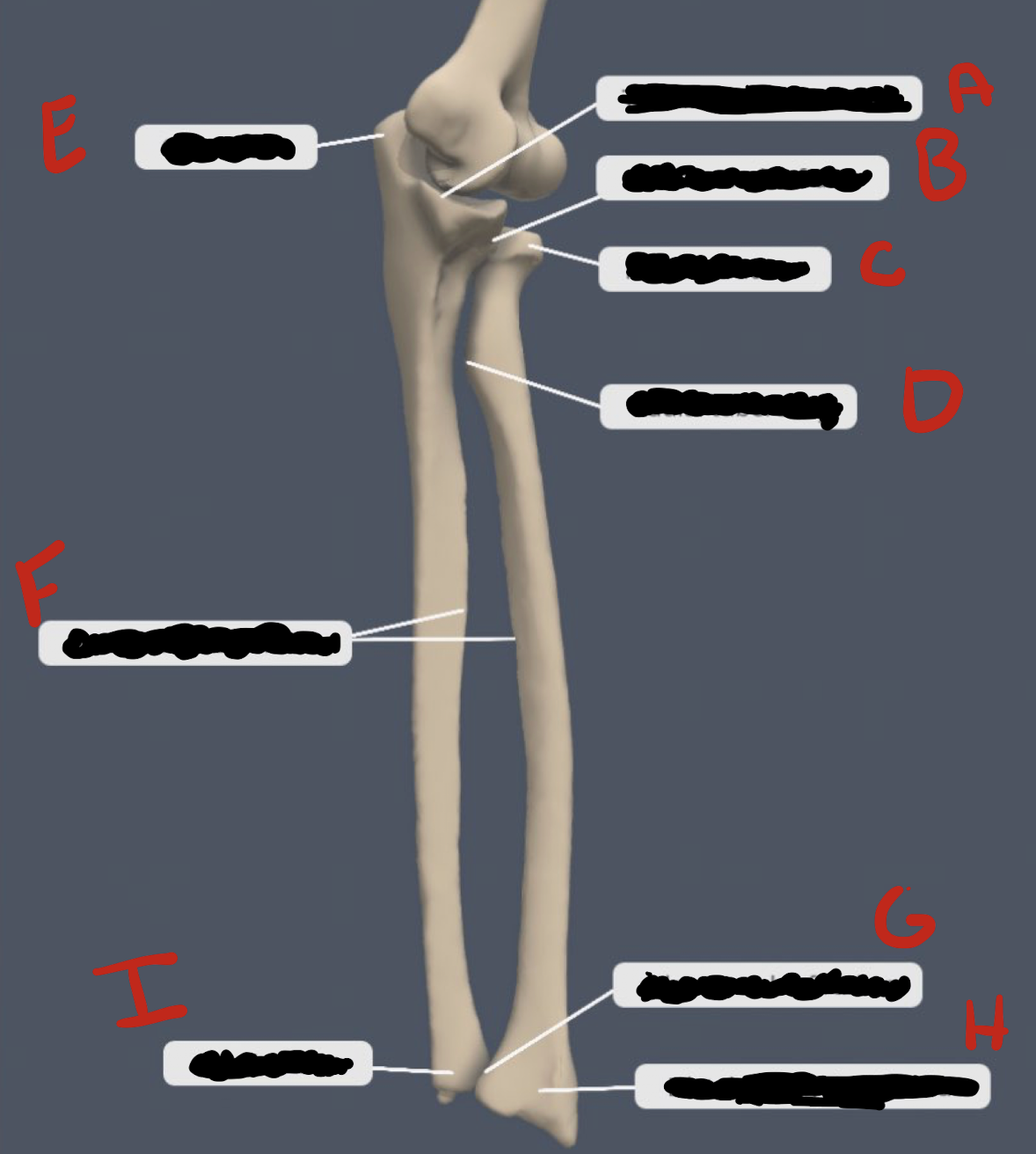 <p>What is denoted by the letter H </p>