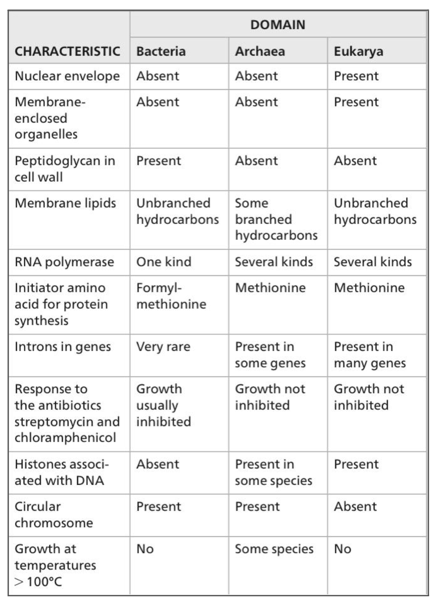 1. Bacteria
2. Archaea
3. Eukarya
